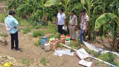 Burhanpur Crime Illegal hand-made Mahua liquor was being sold from fields by hiding it among banana crop