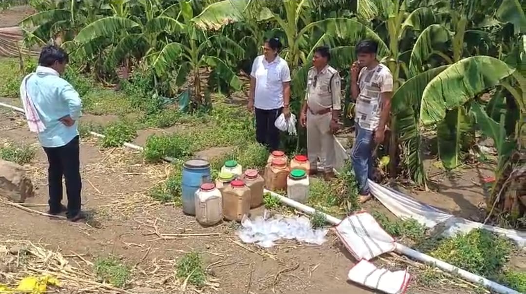 खेतों से जब्त की गई अवैध शराब