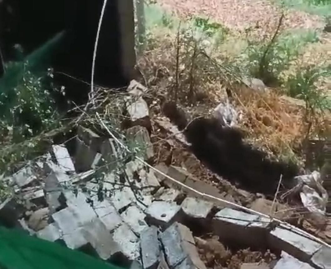 woman from the company wall

newly constructed house damaged