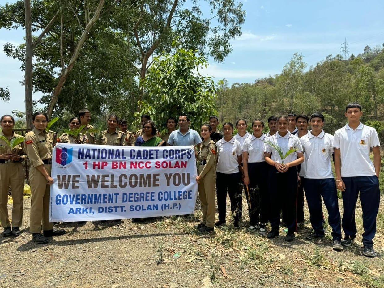 NCC cadets planted shady and fruitful plants