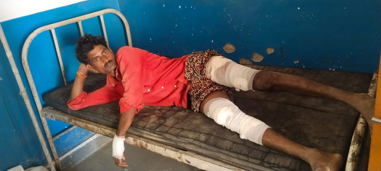 Crocodile attacked young man in Phulbehad