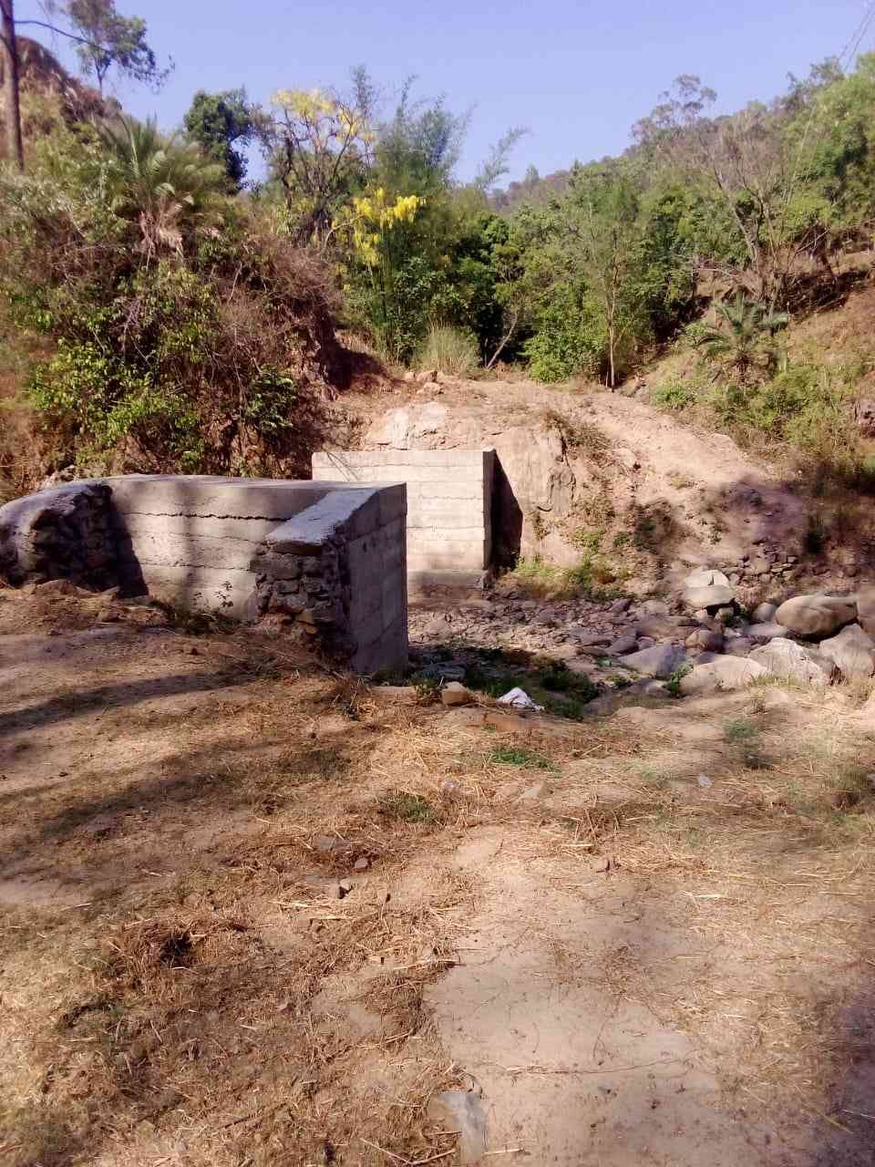 solan news, solan, solan