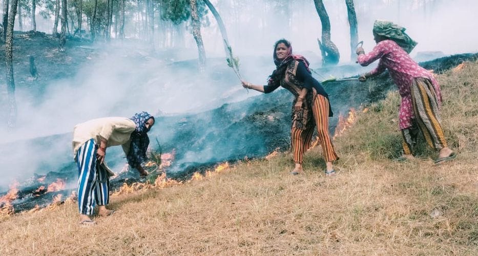 Kalimath and Hawalbagh forests blazed with fire