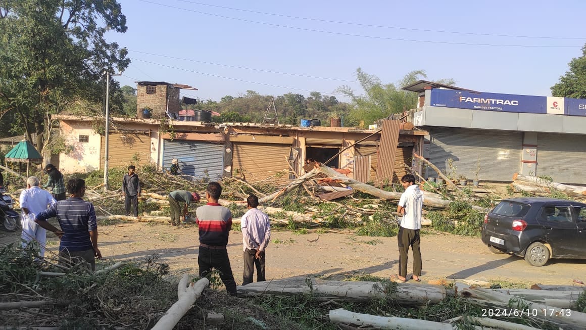 Damage to shops and houses due to falling trees