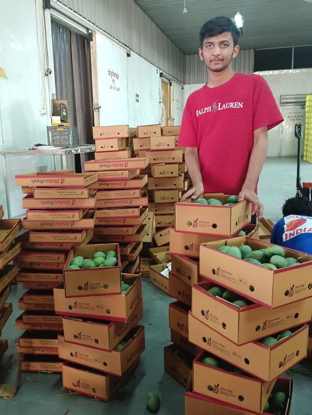 Exports start, first consignment of grafted Malda mangoes leaves for London