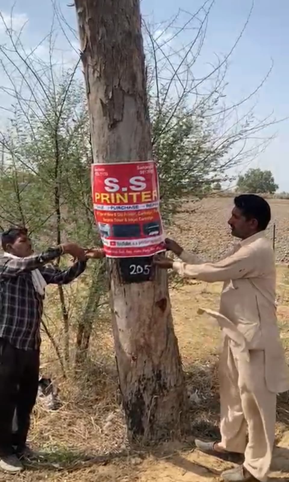 Advertisements nailed to trees started being removed