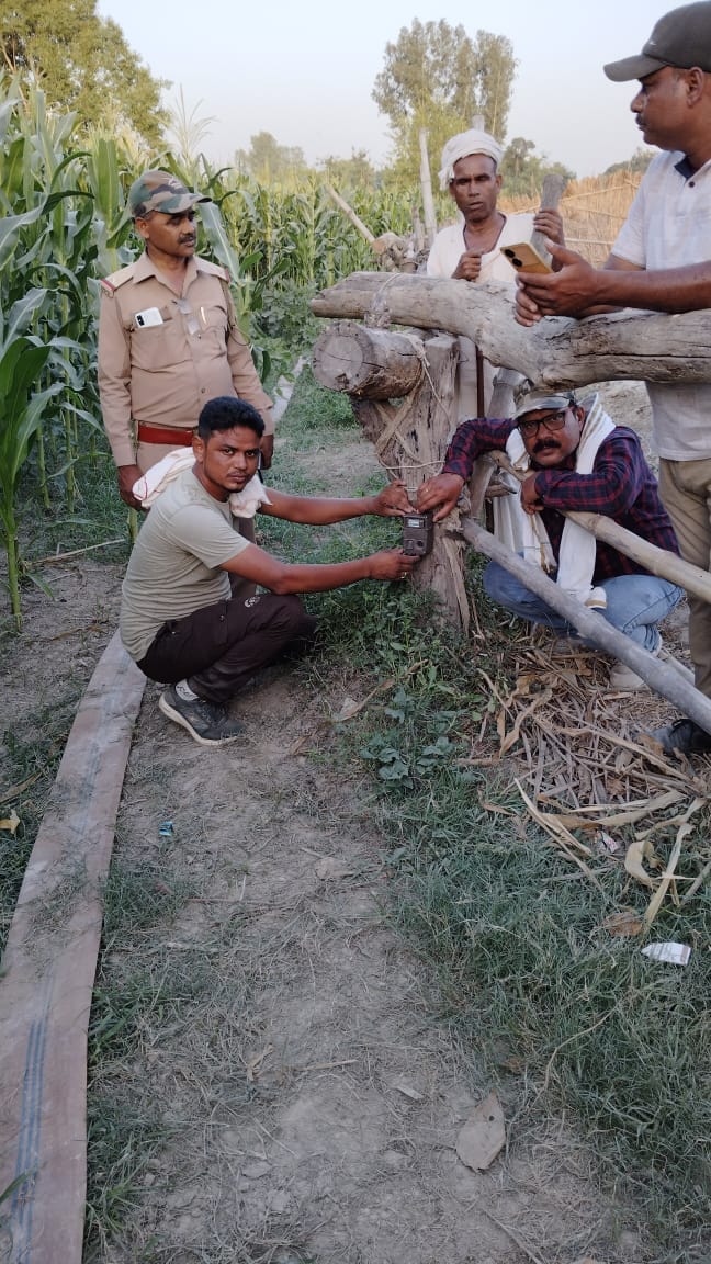 Third eye will monitor the leopard, cage also installed
