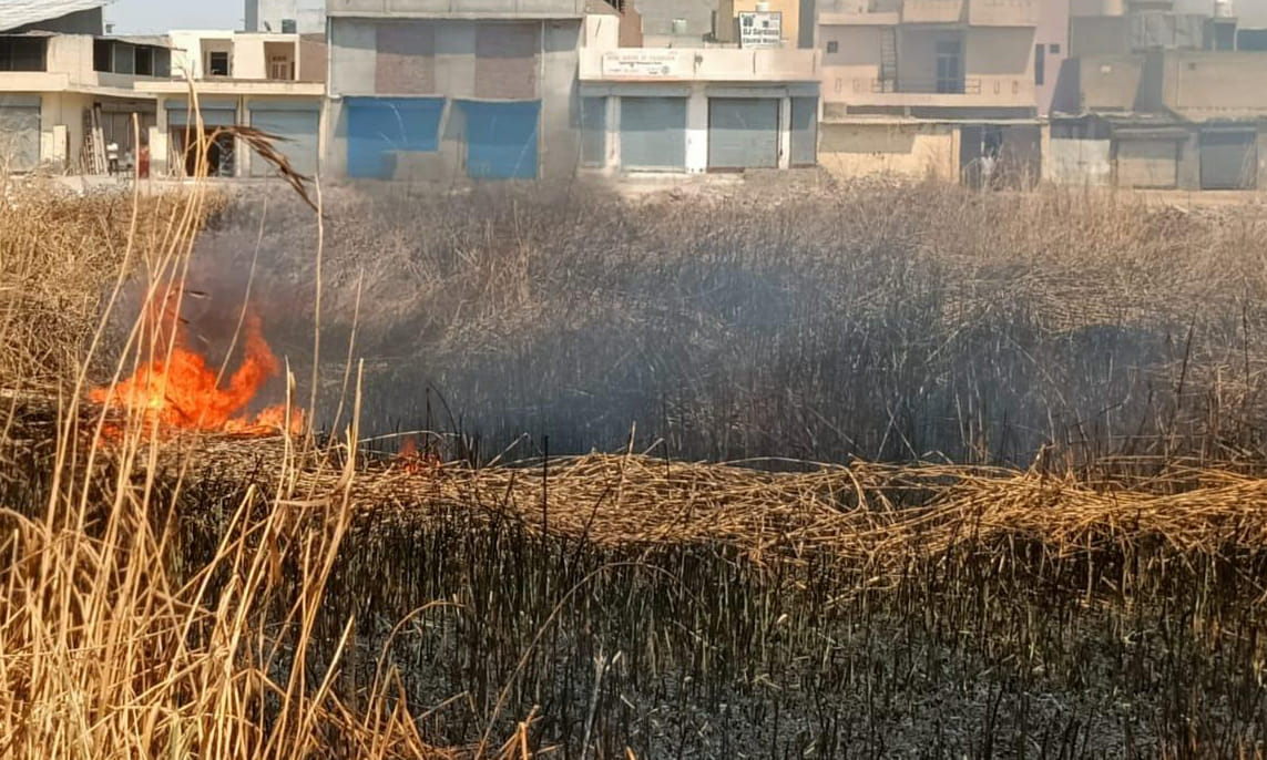 Fire broke out in the reeds standing in Sayani Johar, 11 days ago also the fire had created havoc here.