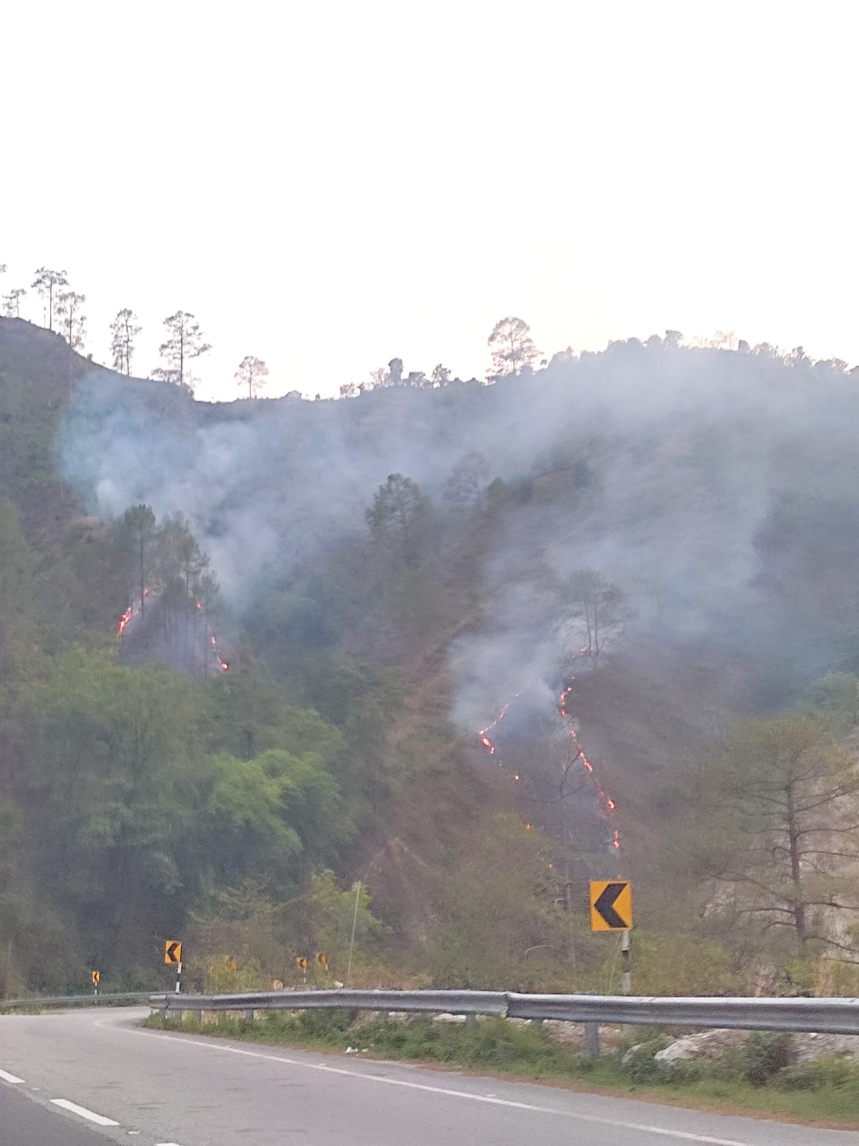 73.54 hectares of forest burnt in 70 incidents during fire season