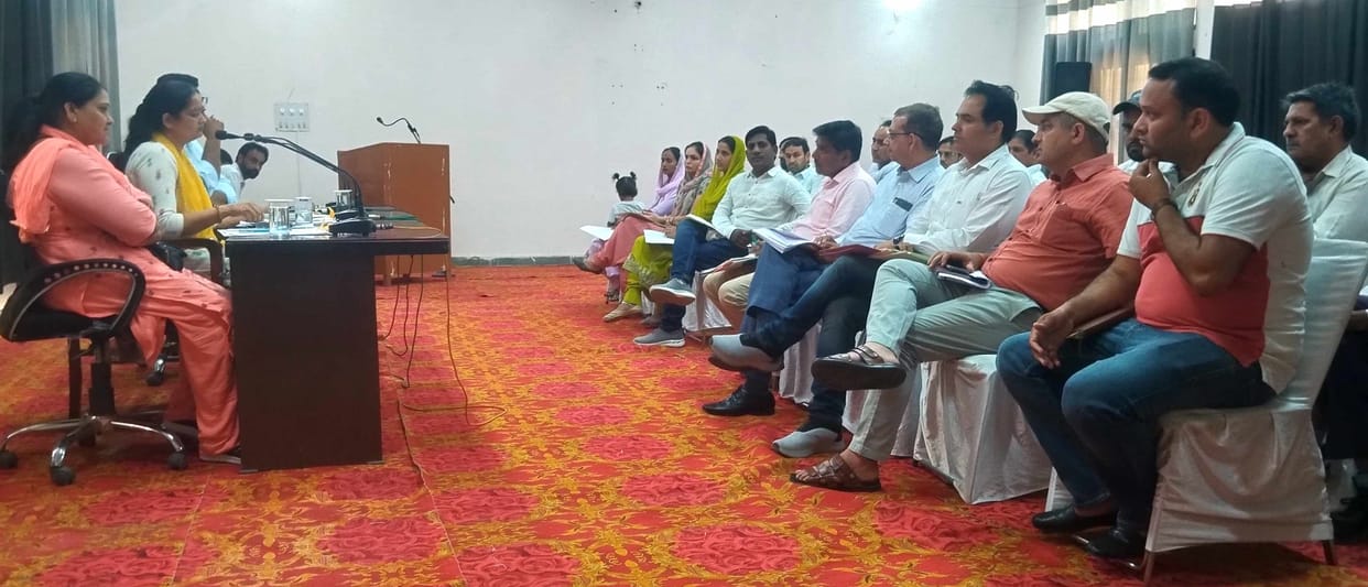 Chairperson and councilor unaware of government's ownership scheme