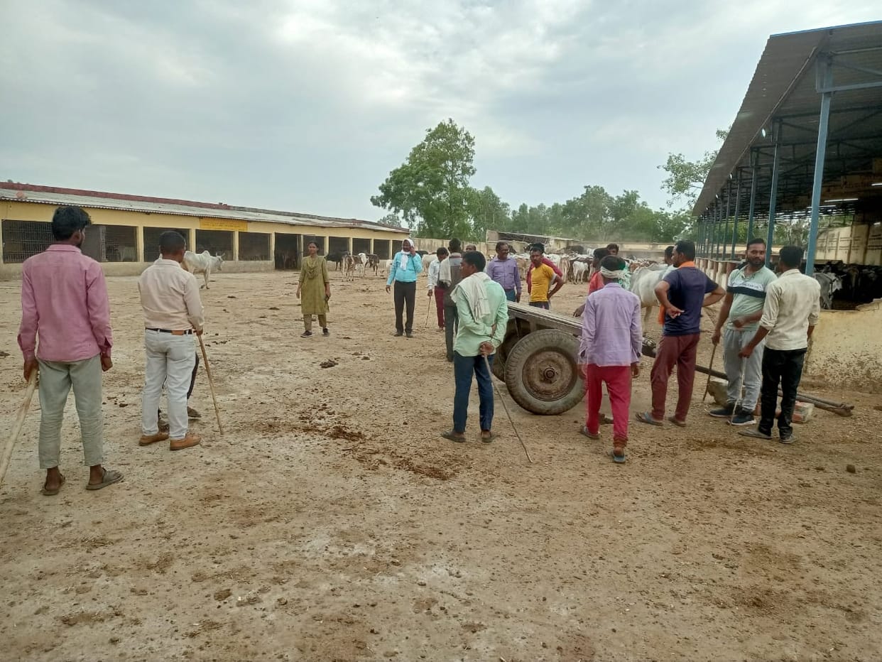 Many deficiencies found in Devipura Gaushala Sthal, Pradhan and Secretary guilty