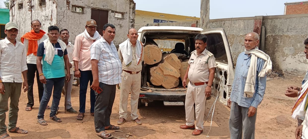 Forest department caught smuggling of teak in numberless Scorpio, accused absconded leaving the vehicle.