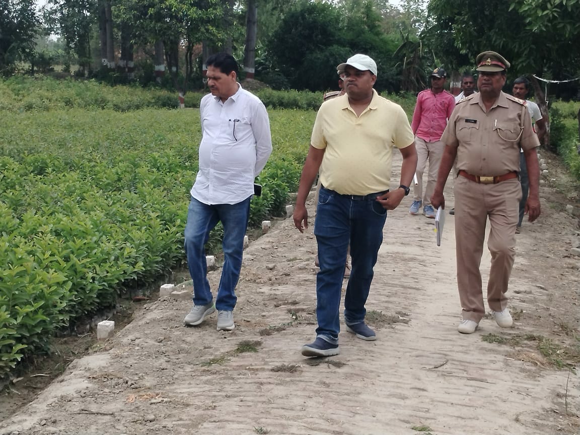 50 percent of last year's saplings missing... this time the target is to plant 91 lakh saplings.