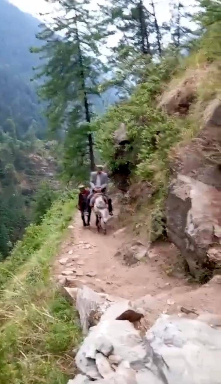 The road was not built, the patient was taken to the hospital on a horse.