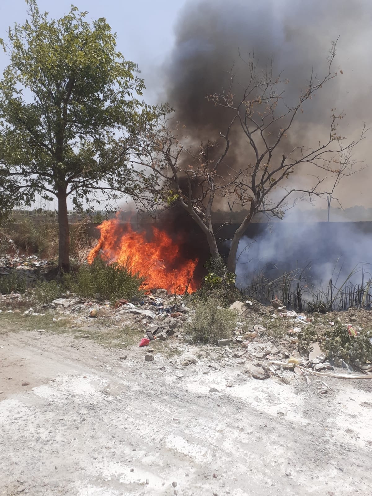 Continuous fires in bushes and junk in empty plots, people are troubled