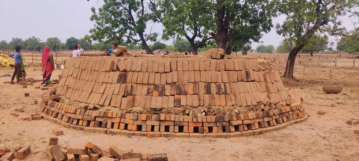 Damoh News Brick kilns are being set up in Tendukheda area using forest wood officials are calling it coal