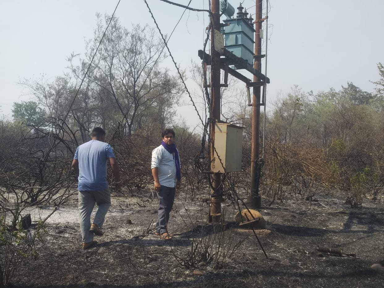 Transformer burnt due to forest fire, electricity remained shut for an hour