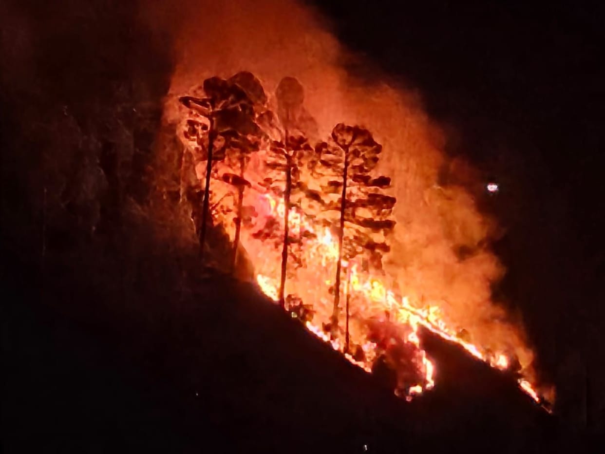 The forests of Reetha Sahib burst into flames again.