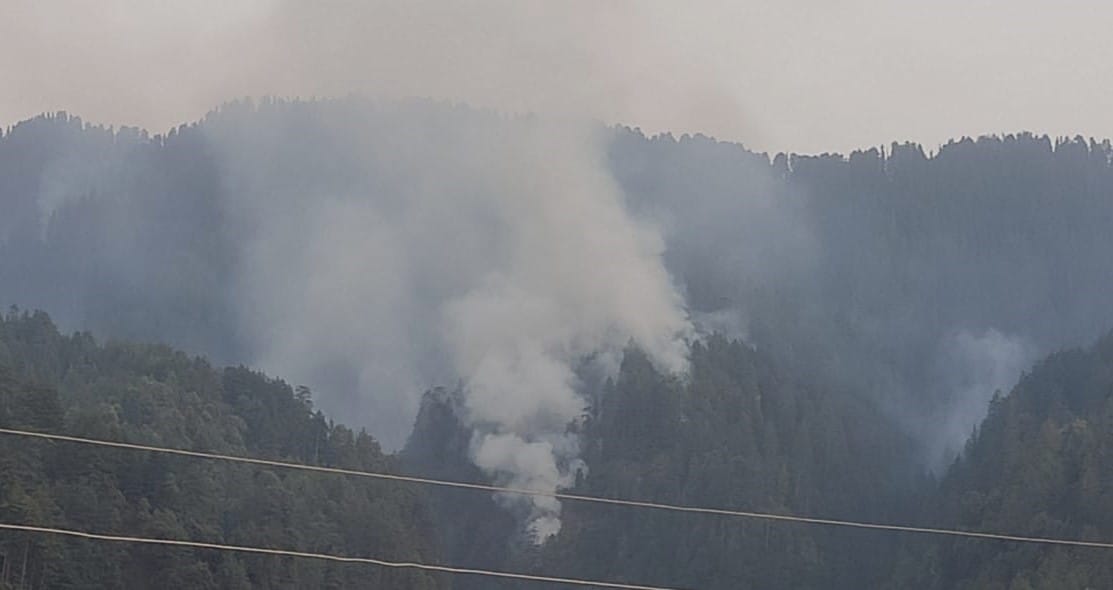 Nerva, Chaupal, forests are burning, department warns, strict action will be taken