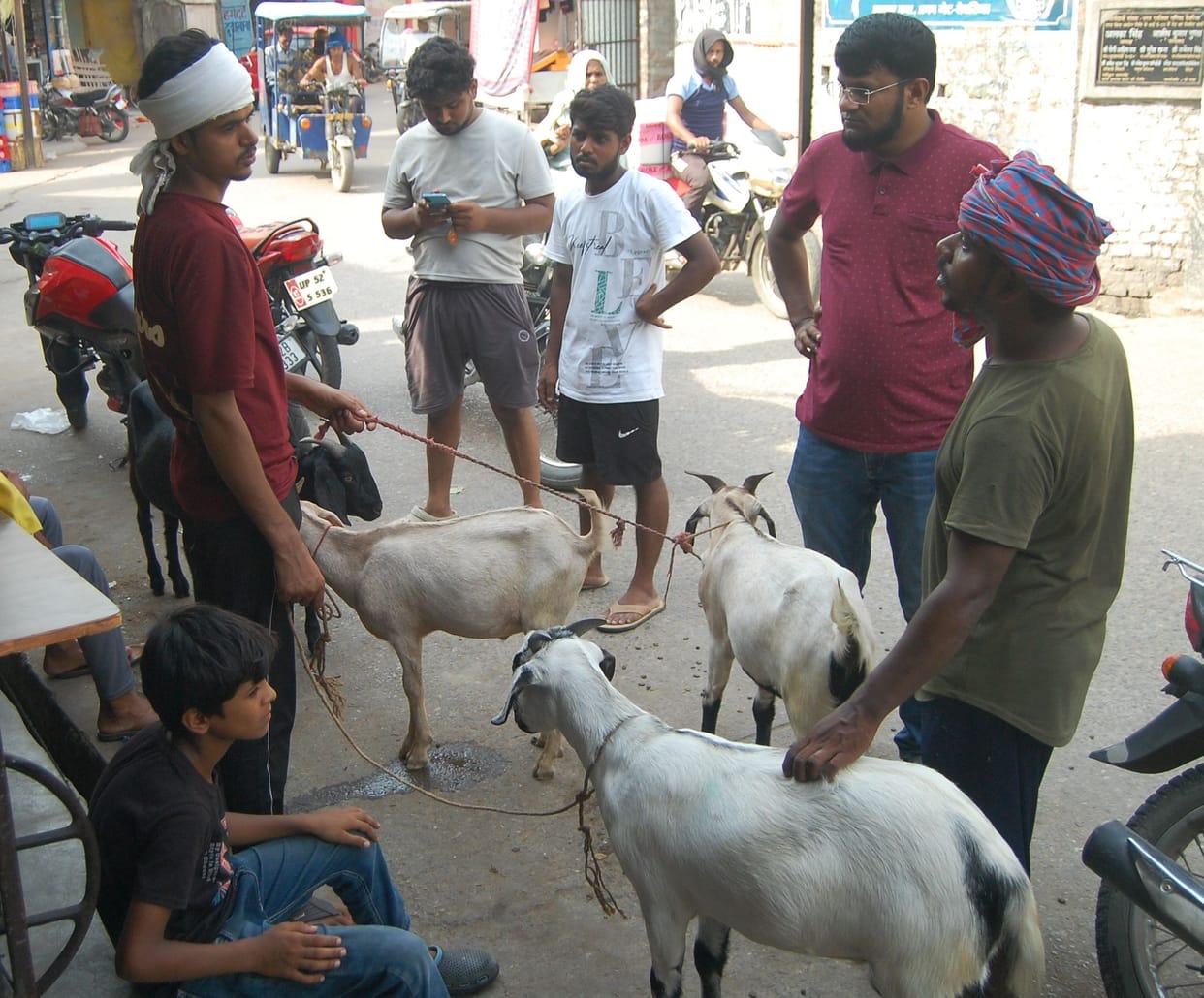 preparation of bakraeid compleate