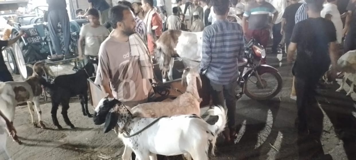Delhi: Initiative of Jain community... buy goats on Bakrid, they will be nurtured throughout their life.