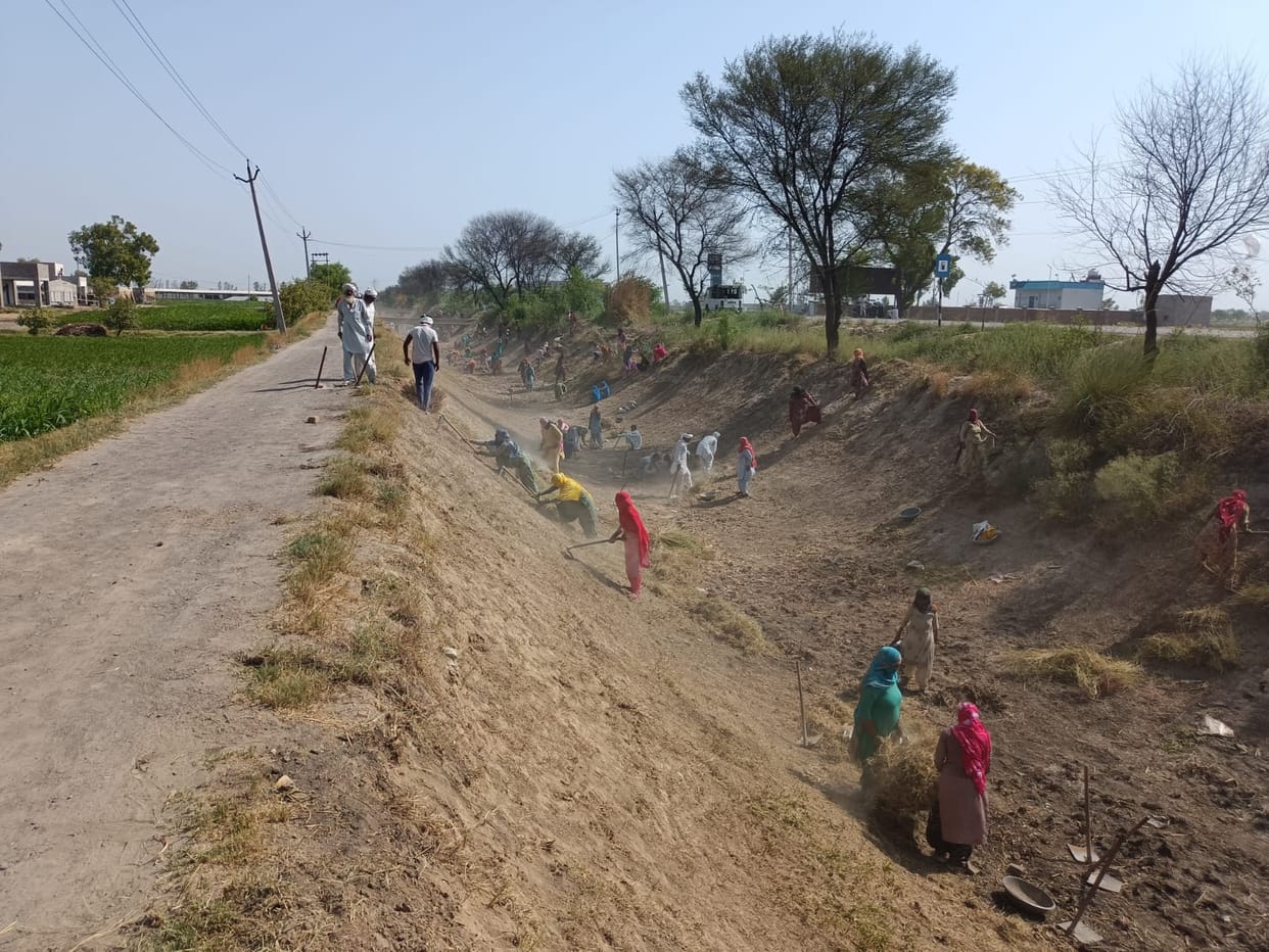 Sirohi News: Timings of Mahatma Gandhi NREGA changed from July 16 now work will be done from 9 am to 5 pm