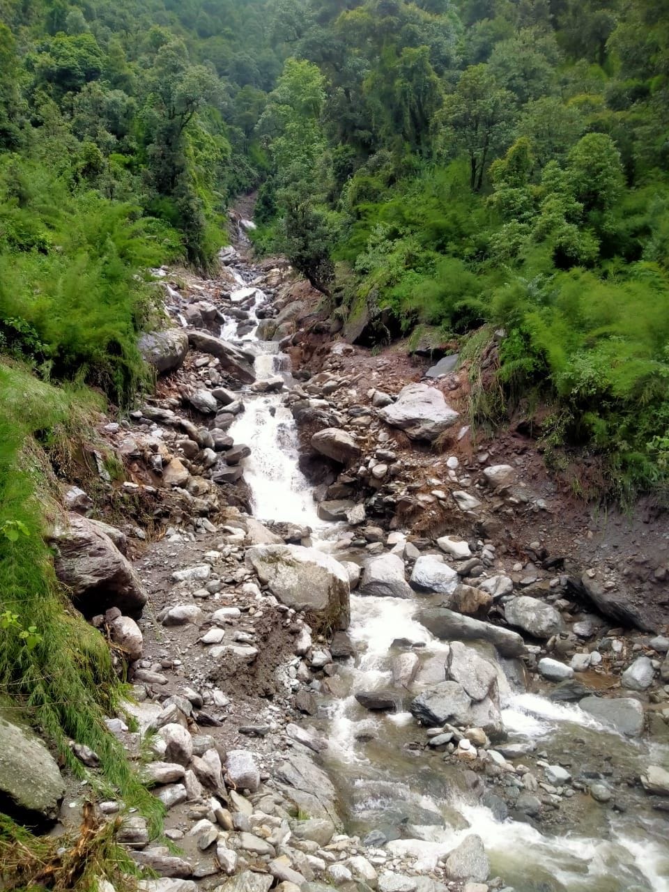 Water reduced by 75 percent in natural sources of Jogindernagar