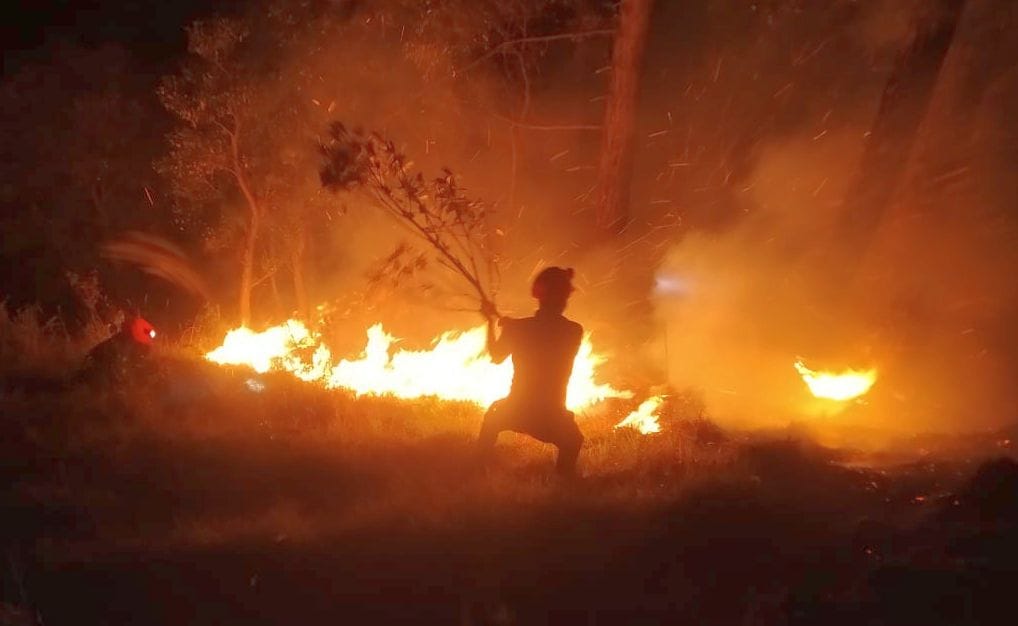 Central government allowed take help from other departments to deal with disasters in forest areas