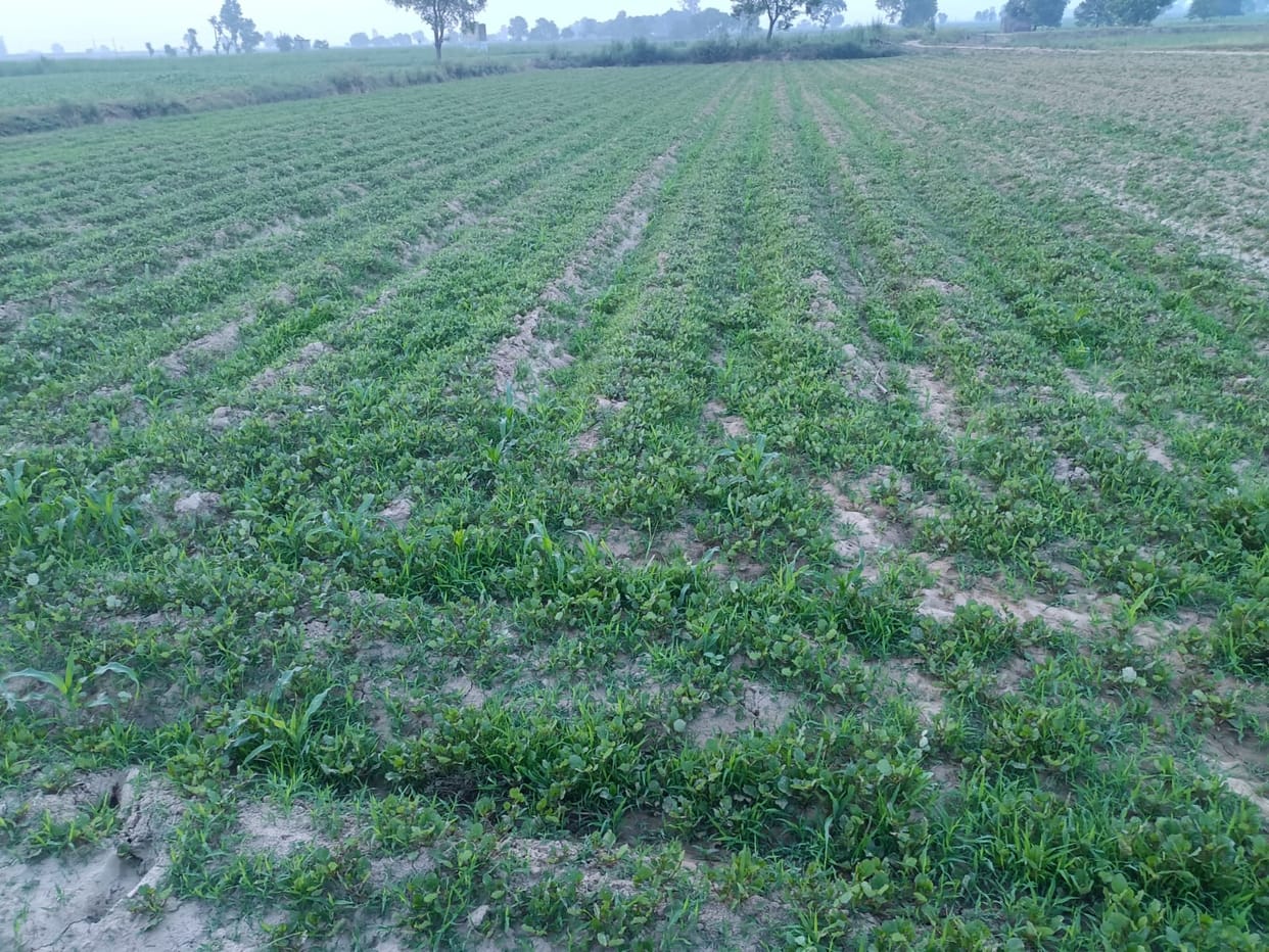 Compensation distribution to farmers of 80 acres of land will start this month.