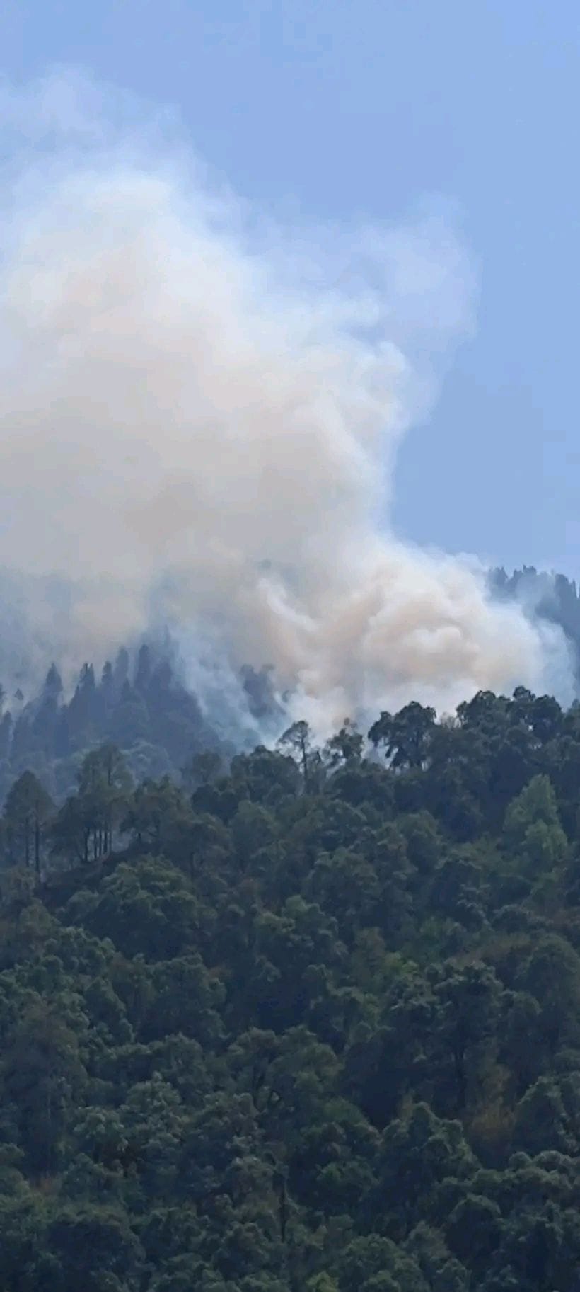 Forest Department, Fire in the forests of Rampur, incidents of fire are increasing.