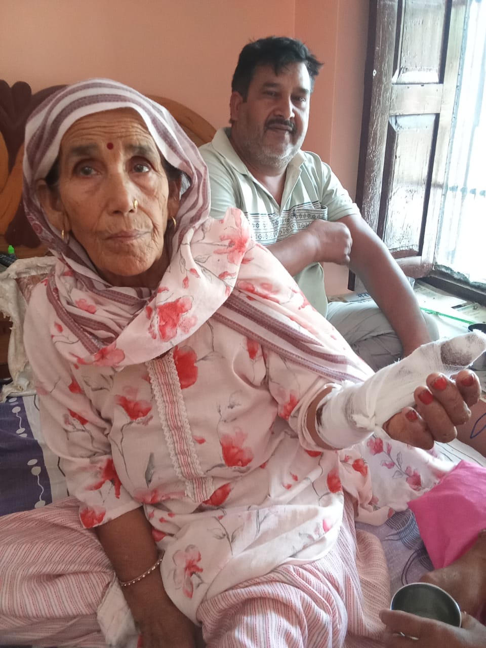 Jackal injured old man who went to graze cattle