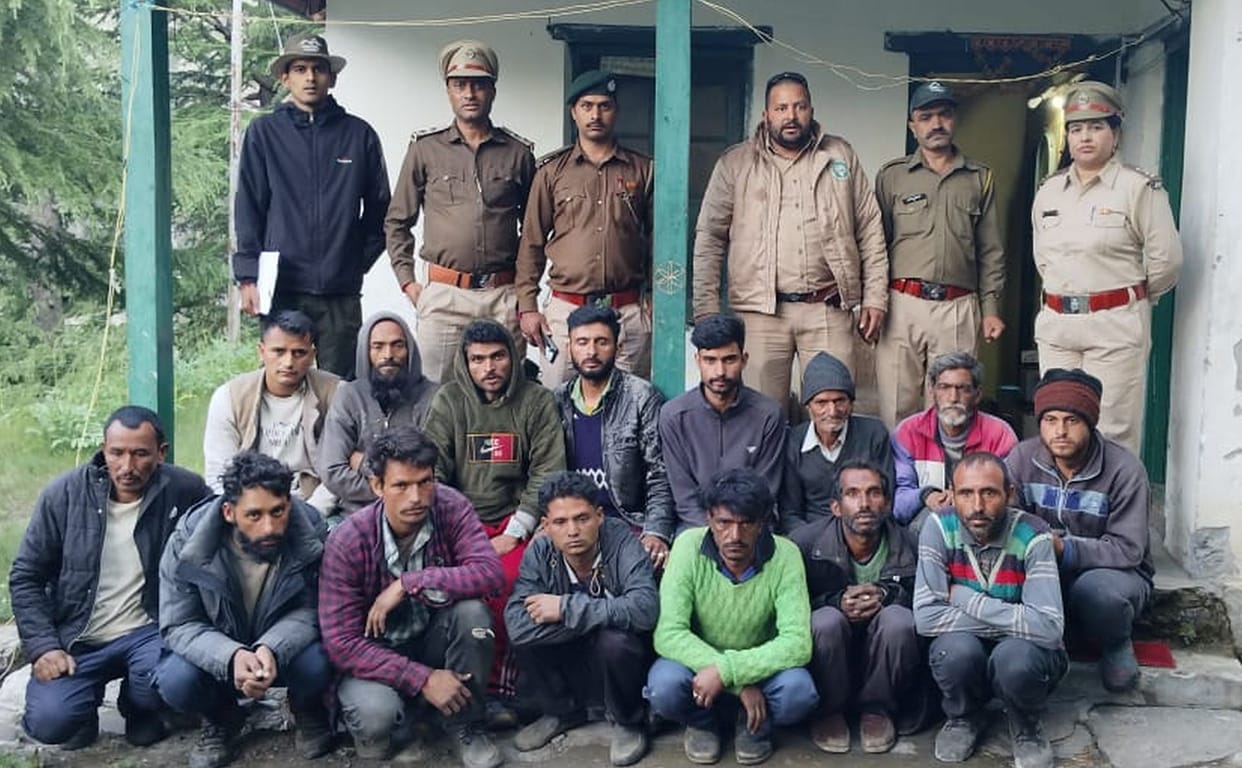 Chamba is becoming a hub for illegal smuggling of forest resources