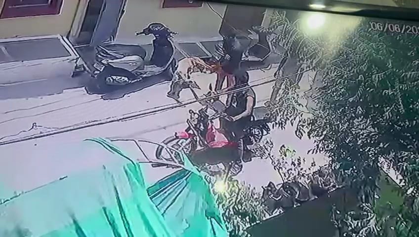 Video of stealing a pet dog went viral in Damoh