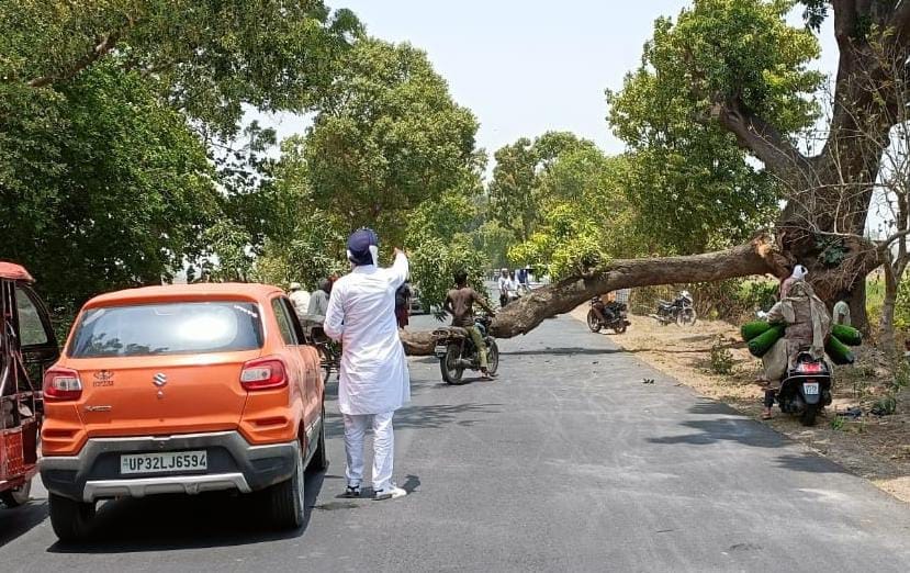 Suddenly a tree fell on the road, people narrowly escaped