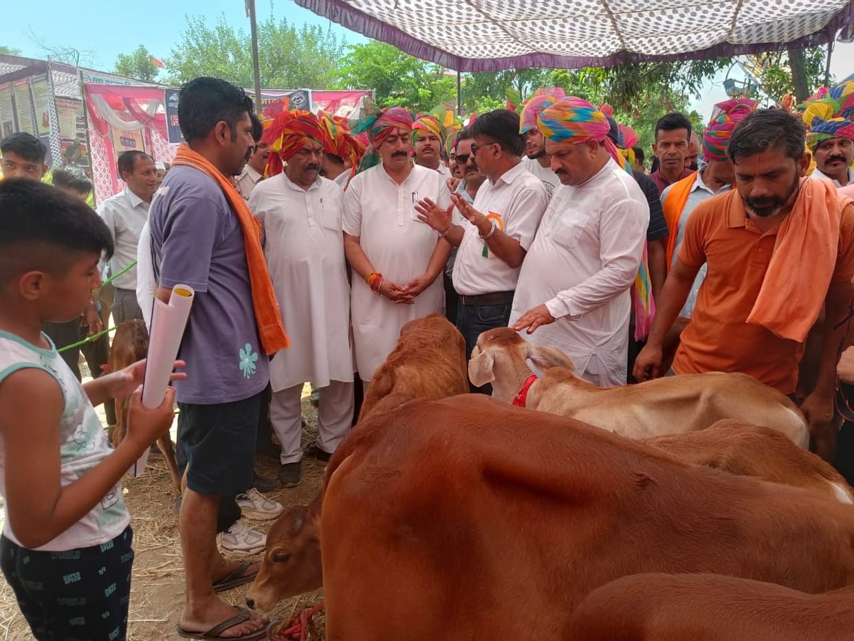 Chhaparoh's Shubham's calf stood first