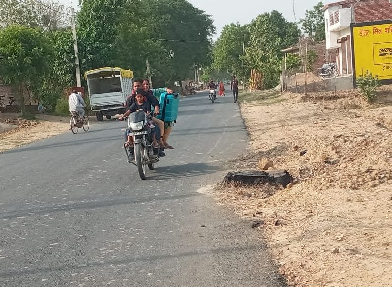 trees root on road