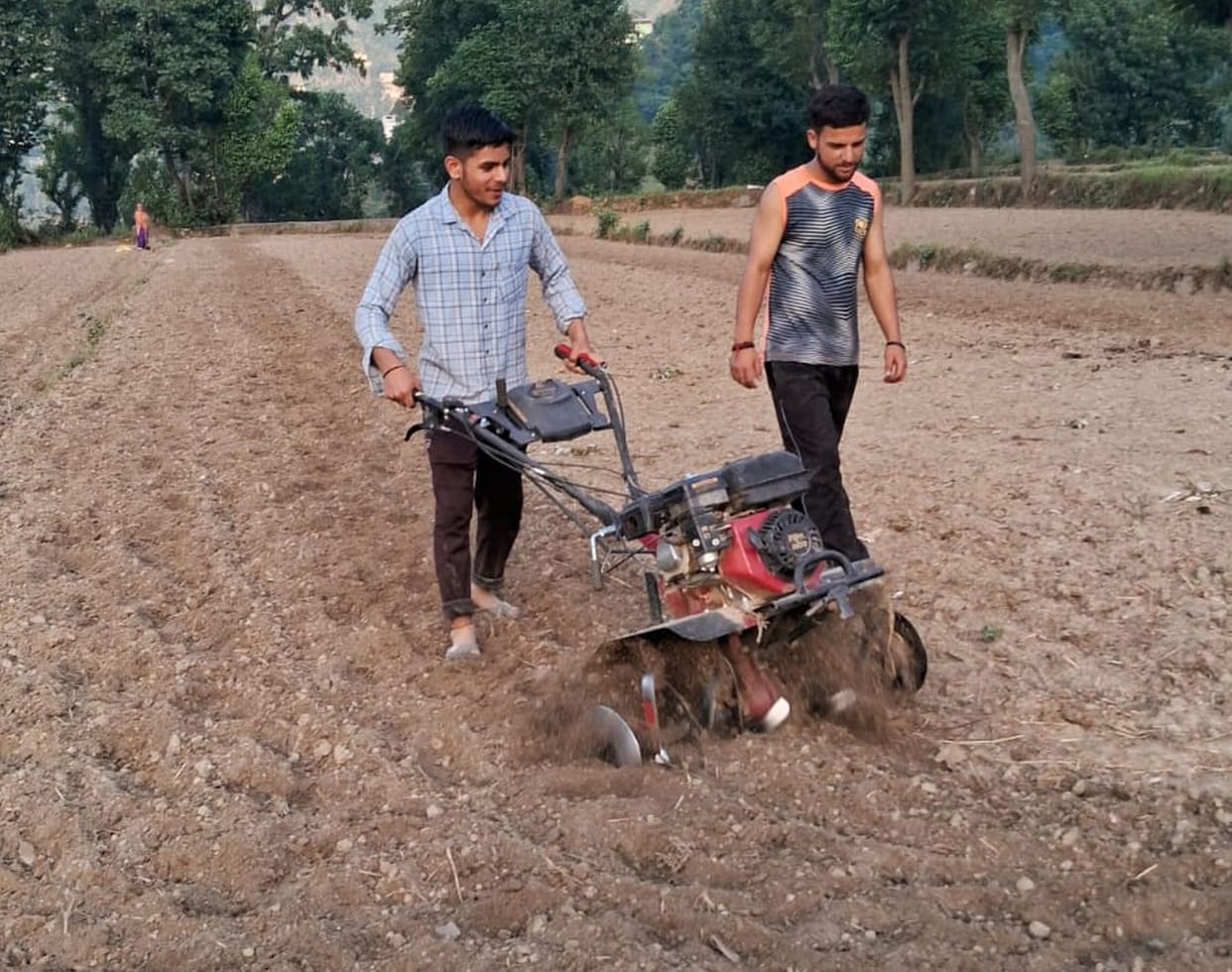 Moisture brought in the fields due to rain, farmers busy sowing corn