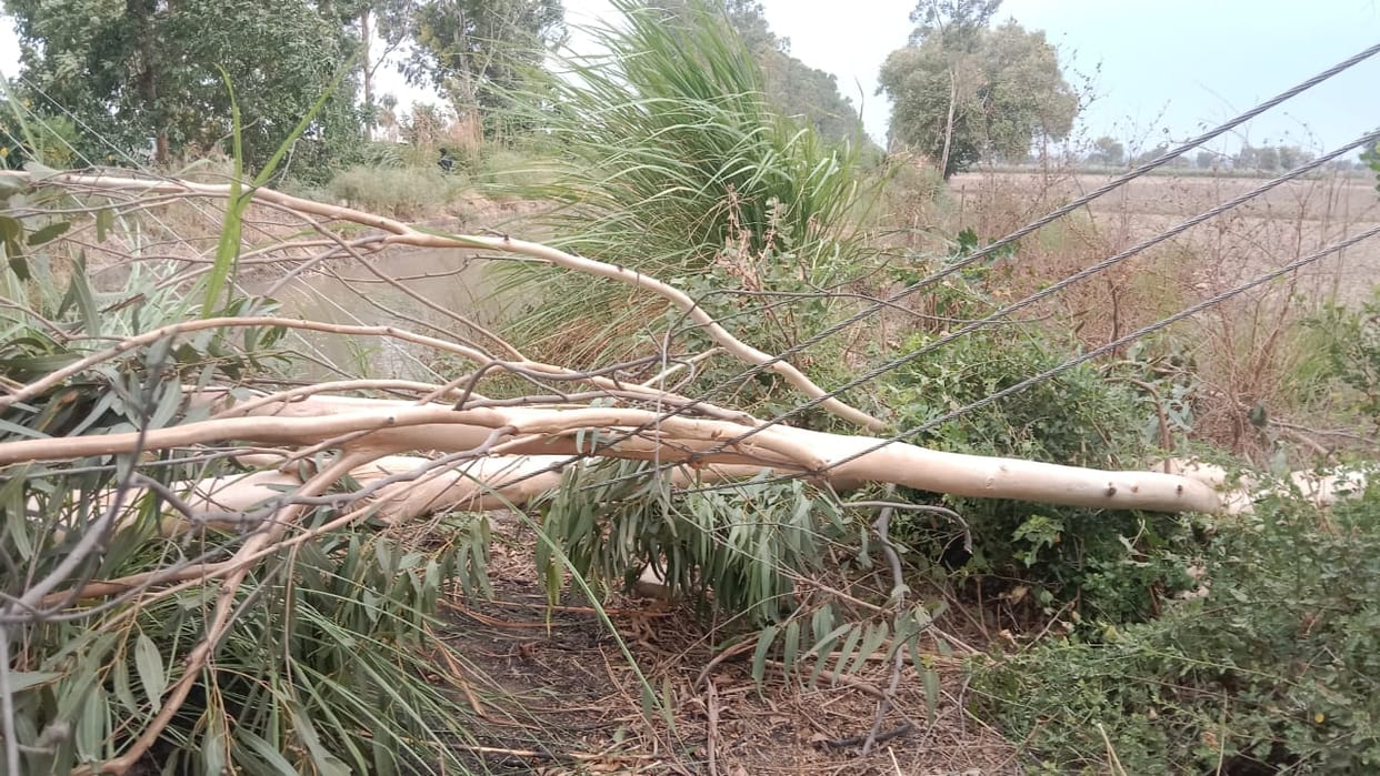 Trees fell on power lines, lights of four feeders remained out