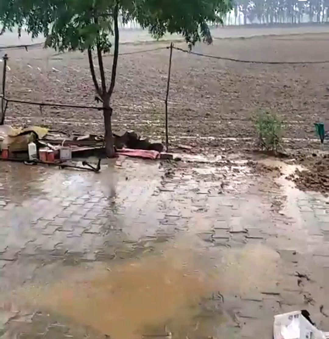 Disaster rain in Haryana: 112 poles and 10 transformers fell due to storm in Jind