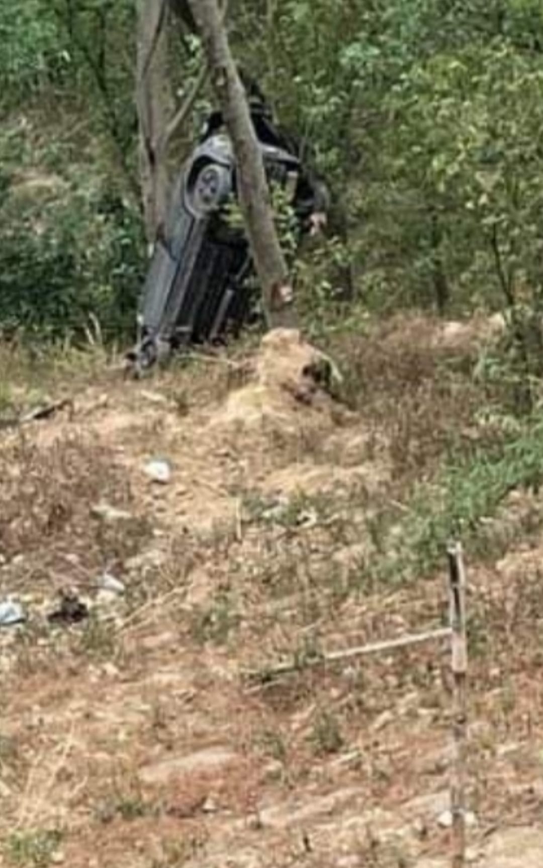 Car lost control and got stuck in trees below the road, three injured