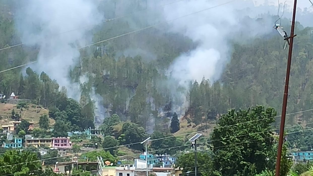 fire in sitoli forest