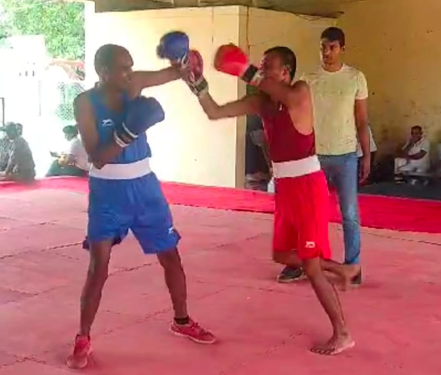In boxing, the dominance of the host team was visible in many categories.