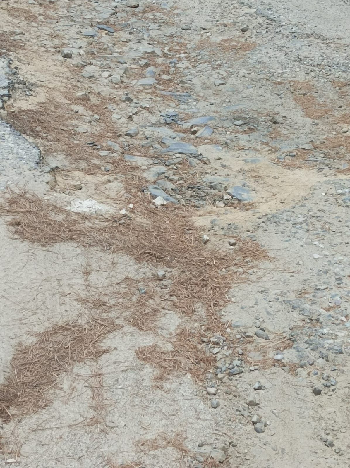 Pati's Chinkachina to Simalkhet road is giving rise to accidents