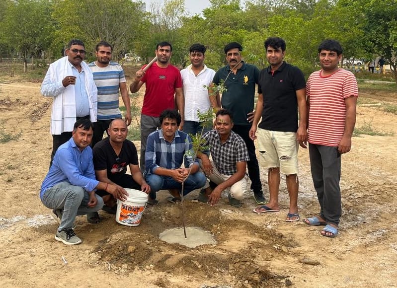 Planted fruitful, flowering and shady plants in MDU