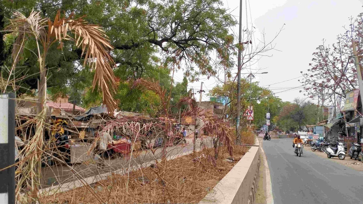 Model Road is in a bad condition... marble tiles were shattered, flowering plants also dried up.