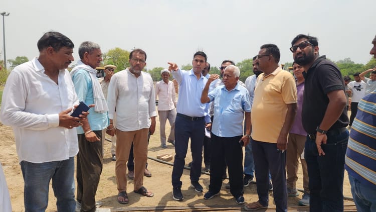 Green Trees Will Be Saved In The Town Park Hisar News Hisar News