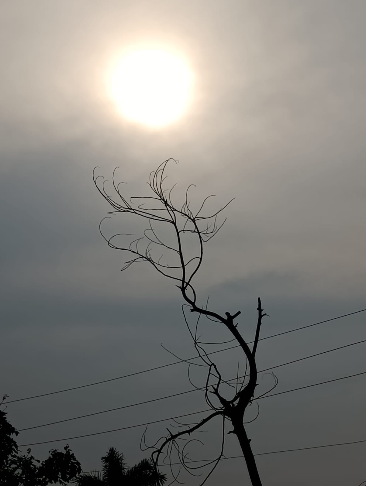 Weather changed in the afternoon, drizzle increased humidity