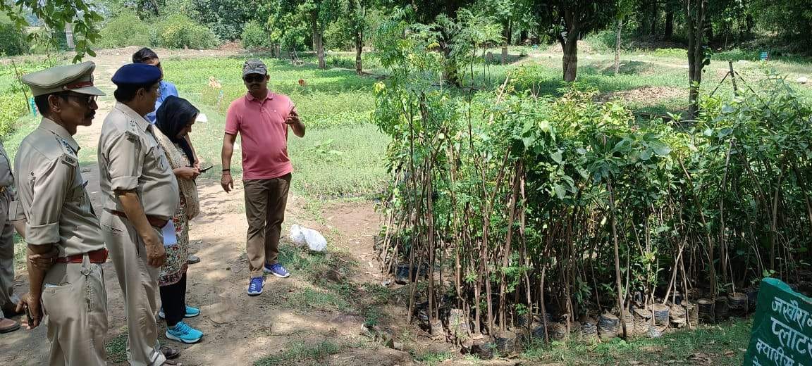 Forest conservator saw the reality of nurseries