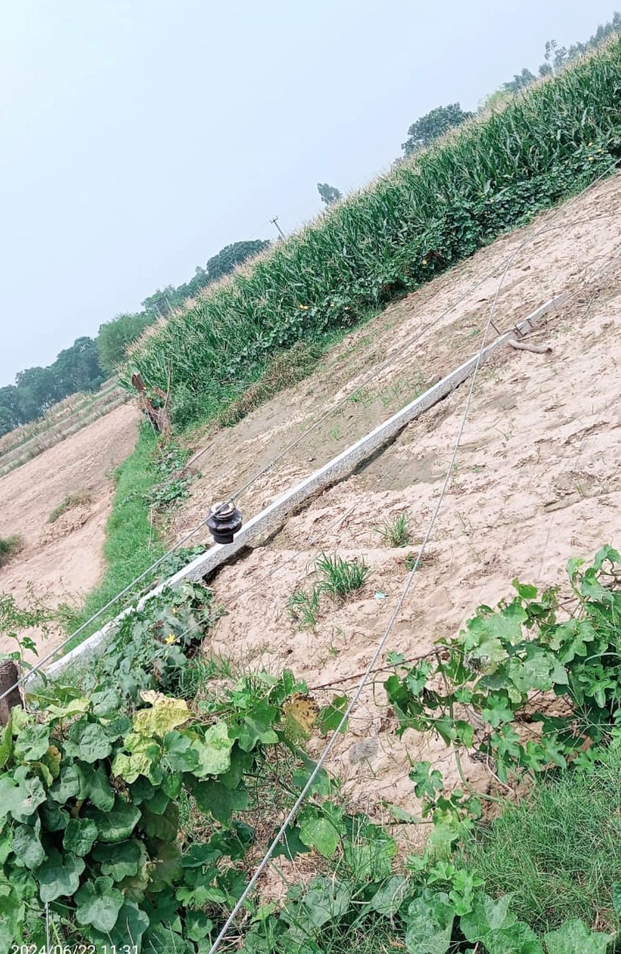 Even after 72 hours of the storm, electricity supply failed, villagers are troubled