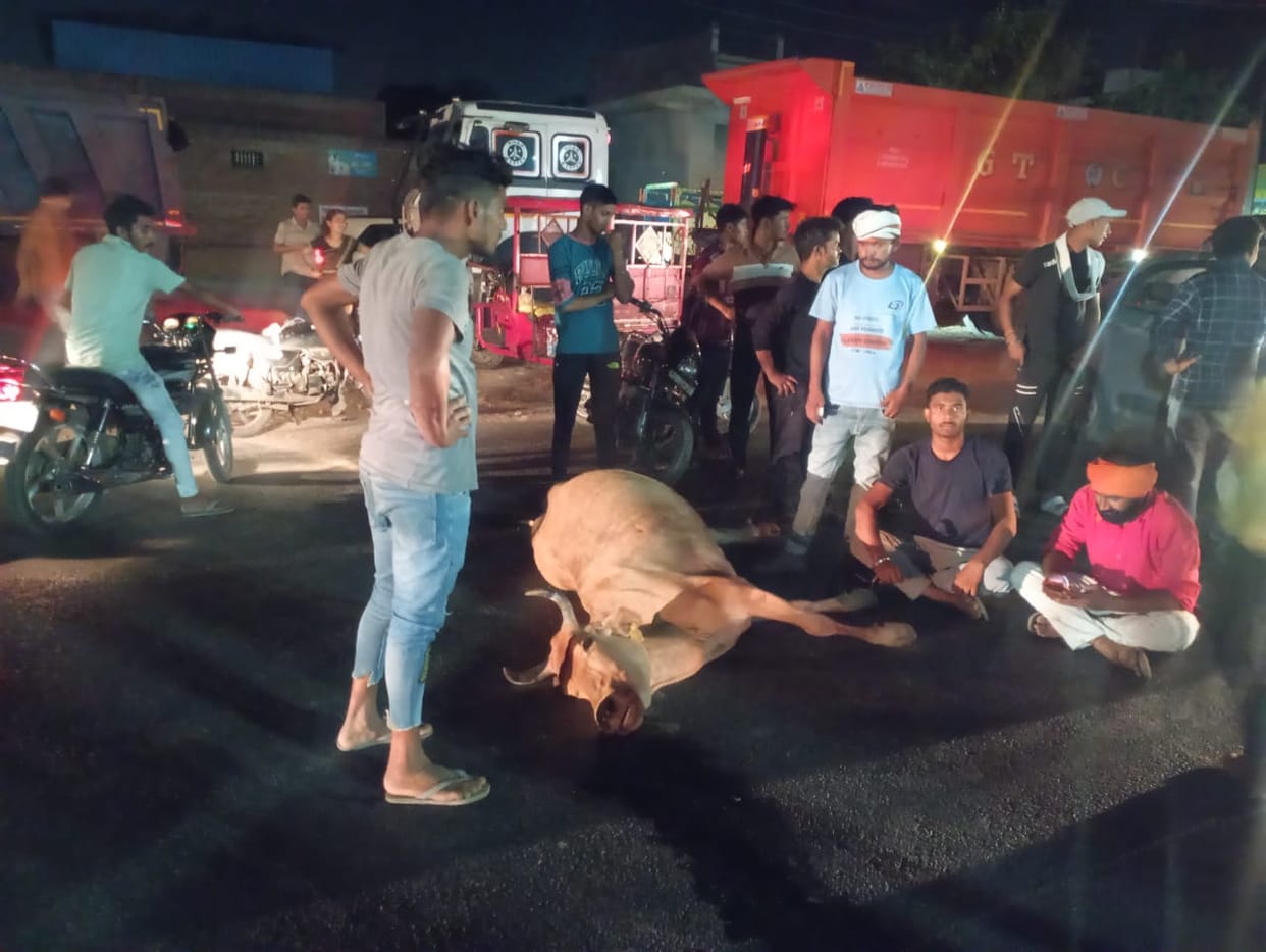 Cow died due to collision with truck, Bajrang Dal blocked the road